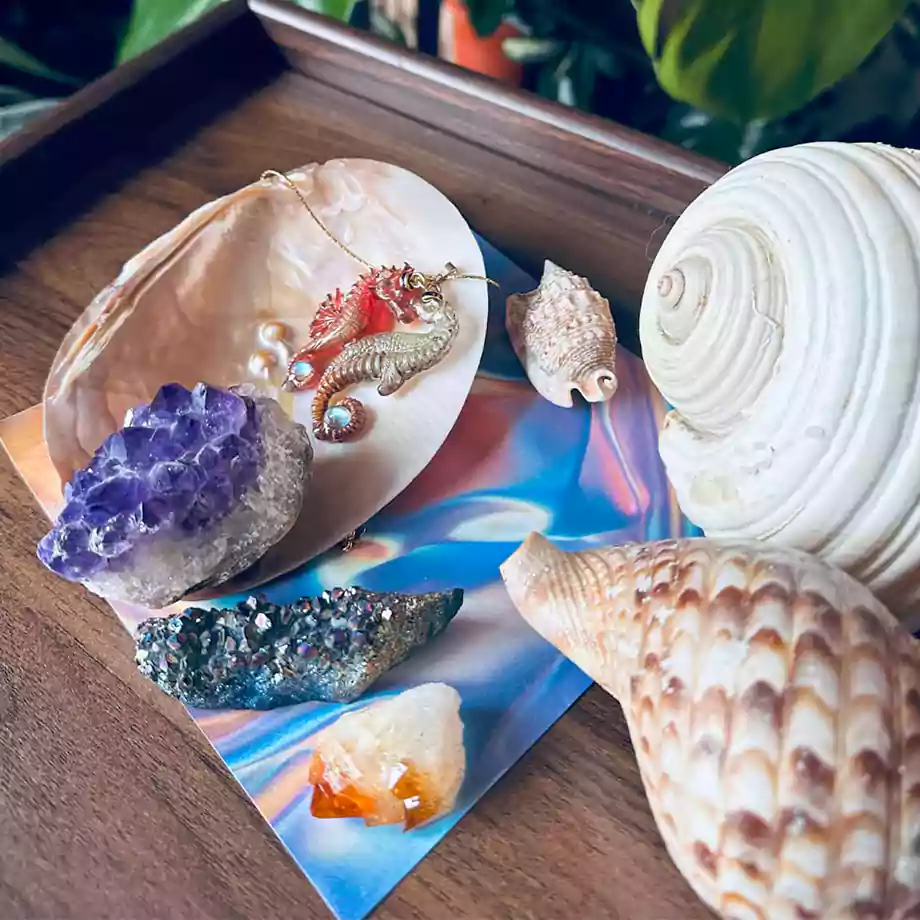 Denizatlarının Chi Enerileriyle Buluşması