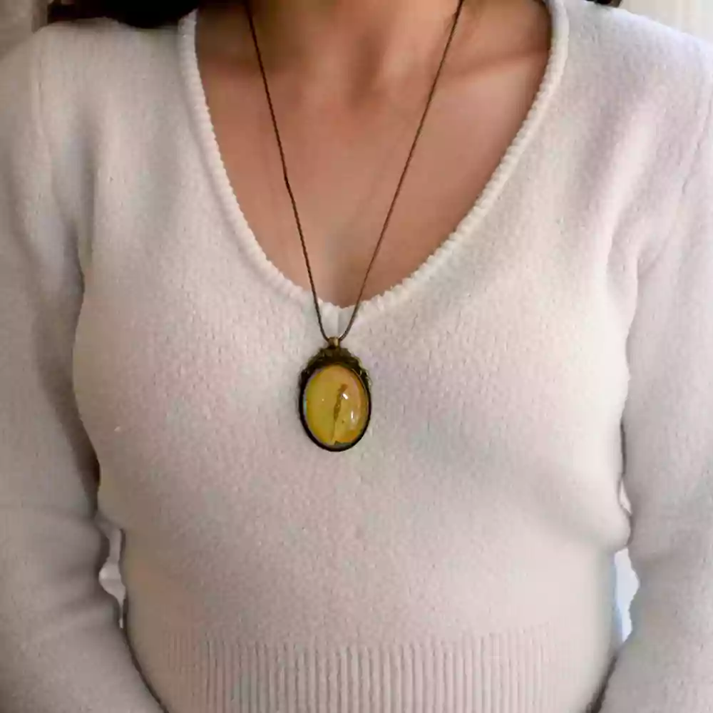 Kurutulmuş Sarı Begonvil Madalyonu